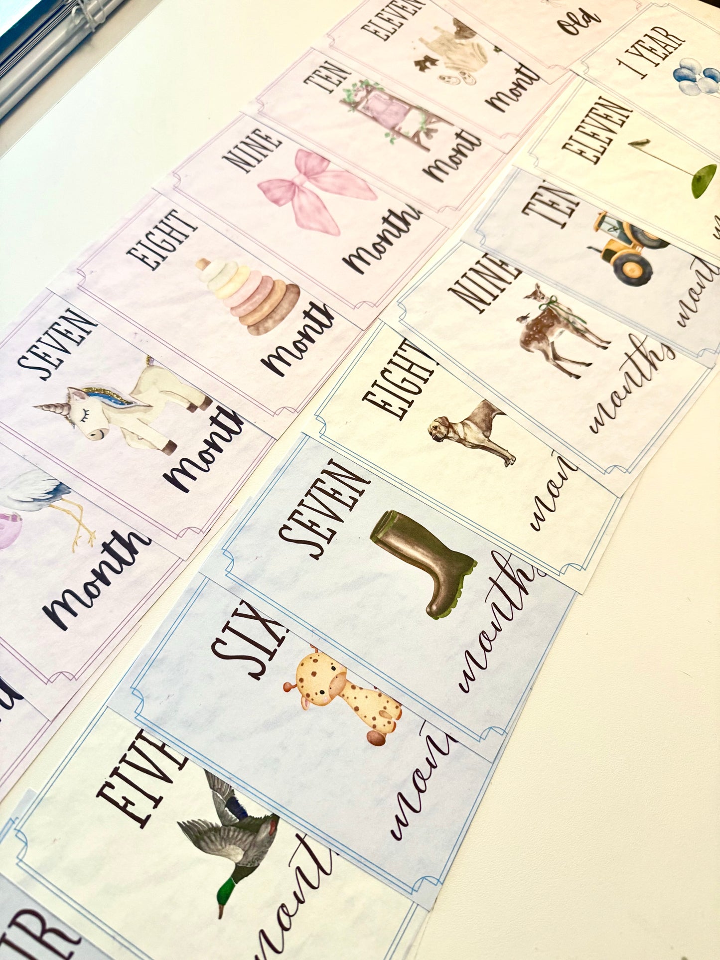 Baby Milestone Cards - Set of 13 | Baby Shower Gifts