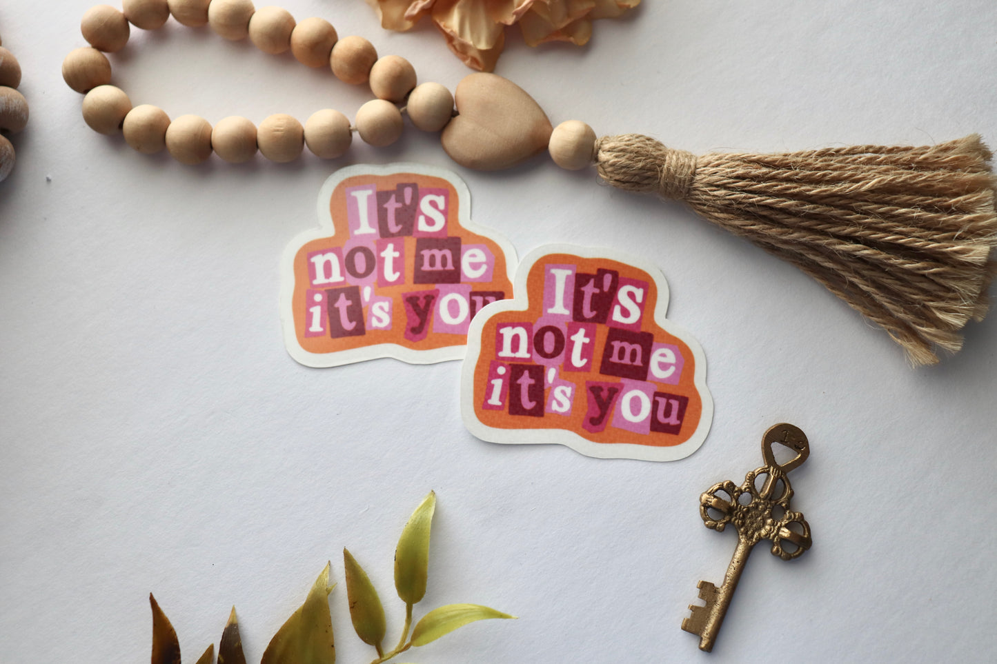 It’s not me it’s you Vinyl Sticker