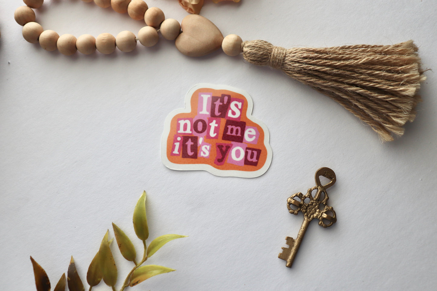 It’s not me it’s you Vinyl Sticker