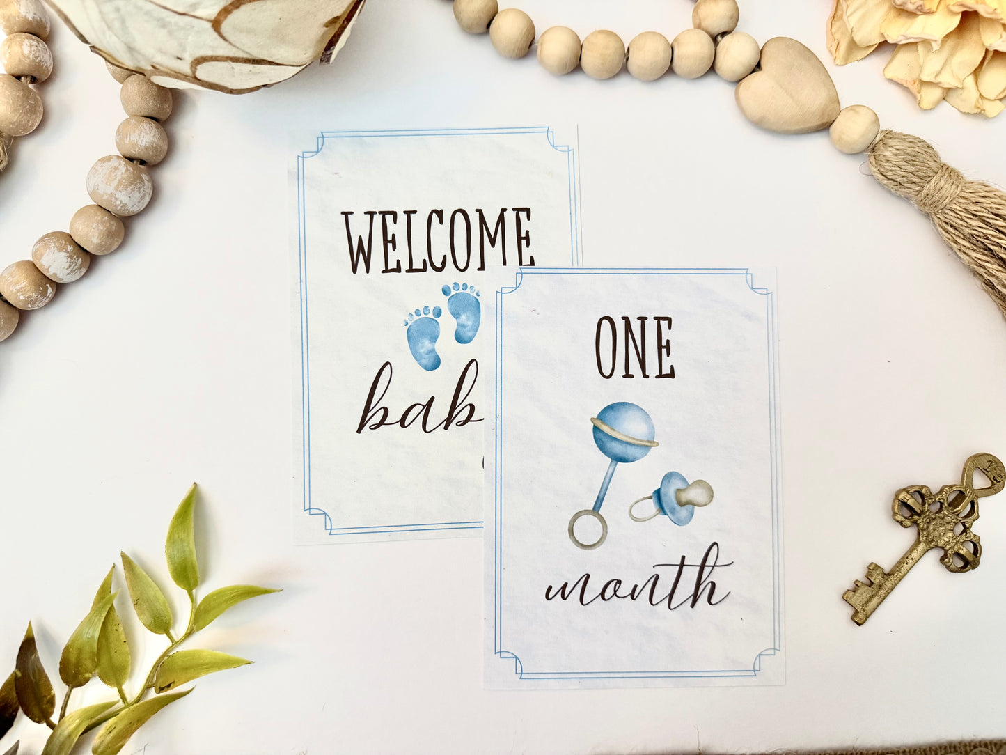 Baby Milestone Cards - Set of 13 | Baby Shower Gifts